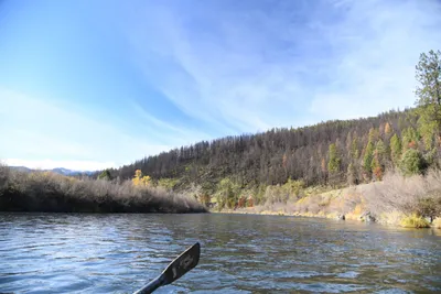 DSC_0253 (Large).JPG